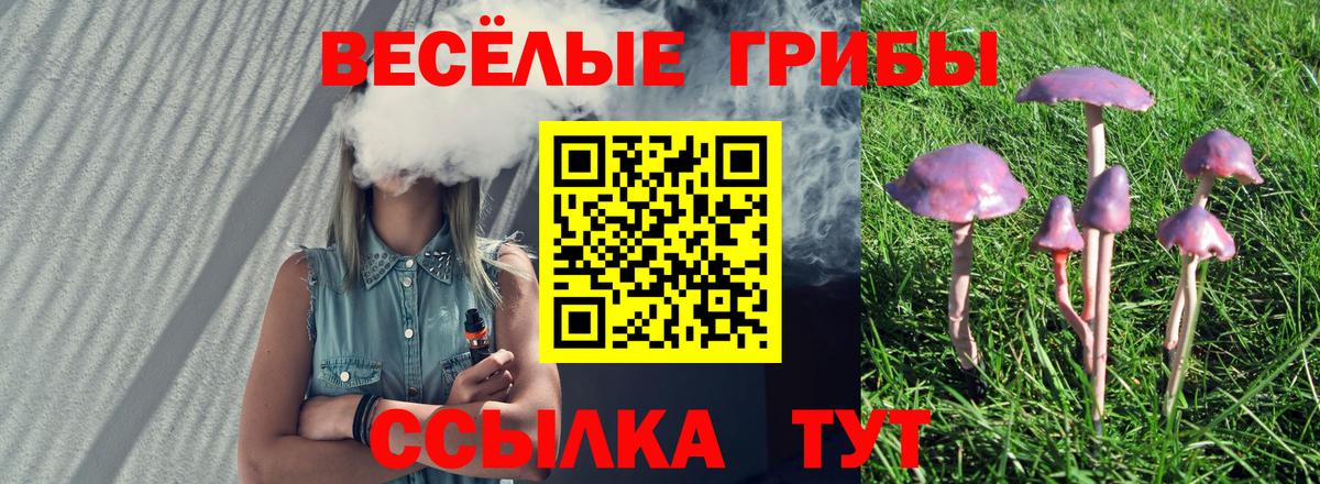 Галлюциногенные грибы MAGIC MUSHROOMS  Вход с VPN  Арсеньев 