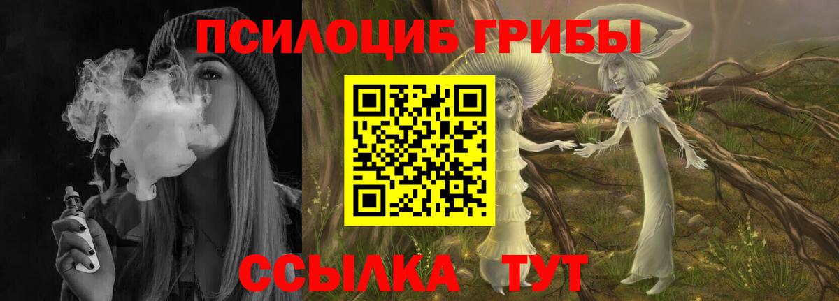 Псилоцибиновые грибы мицелий Арсеньев